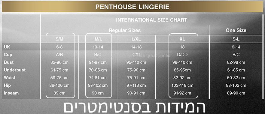 Penthouse-2148_12062021101907.jpg (882×380)
