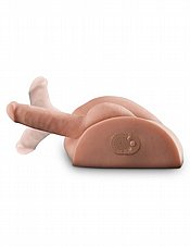 ���� ���� ����������� ���� �������� ���"�.  Pipedream-58467