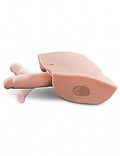 ���� ���� ����������� ���� �������� ���"�.  Pipedream-58467