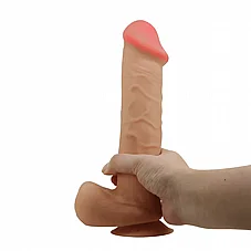 ����� ���� ������ ���