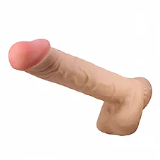 ����� �������� ���� 26 ��� - ��� ����