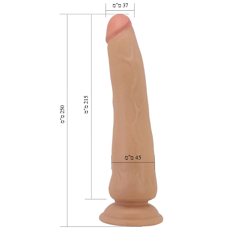 ����� �������� Tiemeyer �� ��� ����� ����� ����� - 25 ��� - 2 ����� - ����� �����