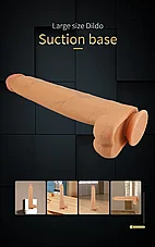 ����� ��� �������� Ansel �� ��� ����� ����� ����� - ���� ���� ���� - 36 ��� - ������ �����