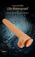 ����� ��� �������� Ansel �� ��� ����� ����� ����� - ���� ���� ���� - 36 ��� - ������ �����