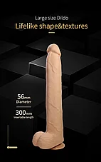 ����� ��� �������� Dany ���� �� ���� ����� - 36 ��� - 2 ����� - ���� ����� ����������