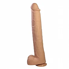 ����� ��� �������� PAT ���� �� ���� ����� - 40 ��� - 2 ����� - ��� ���� - ��� ����