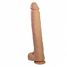 ����� ��� �������� PAT ���� �� ���� ����� - 40 ��� - 2 ����� - ��� ���� - ��� ����