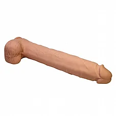 ����� ��� �������� PAT ���� �� ���� ����� - 40 ��� - 2 ����� - ��� ����
