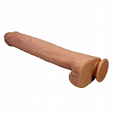 ����� ��� �������� PAT ���� �� ���� ����� - 40 ��� - 2 ����� - ���� ������
