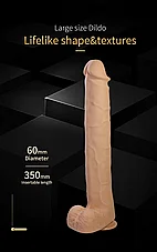 ����� ��� �������� PAT ���� �� ���� ����� - 40 ��� - 2 ����� - ���� ����� ����������