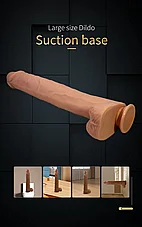 ����� ��� �������� PAT ���� �� ���� ����� - 40 ��� - 2 ����� - ���� �����