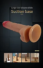 ����� ������� �������� Lvita �� ���� ����� - 16.2 ��� - ���� �����