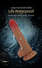 ����� ������� �������� Lvita �� ���� ����� - 16.2 ��� - ���� ����