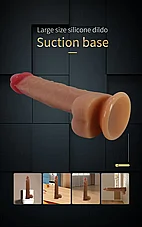 ����� ������� �������� Jovta �� ���� ����� - 19 ��� - ���� �����