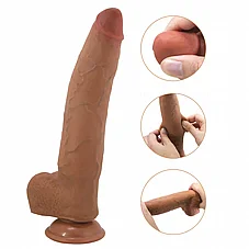 ����� �������� Evander ���� ����� ����� - ��� - 23 ��� - ����� ����������