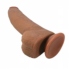 ����� �������� Evander ���� ����� ����� - ��� - 23 ��� - ���� ������