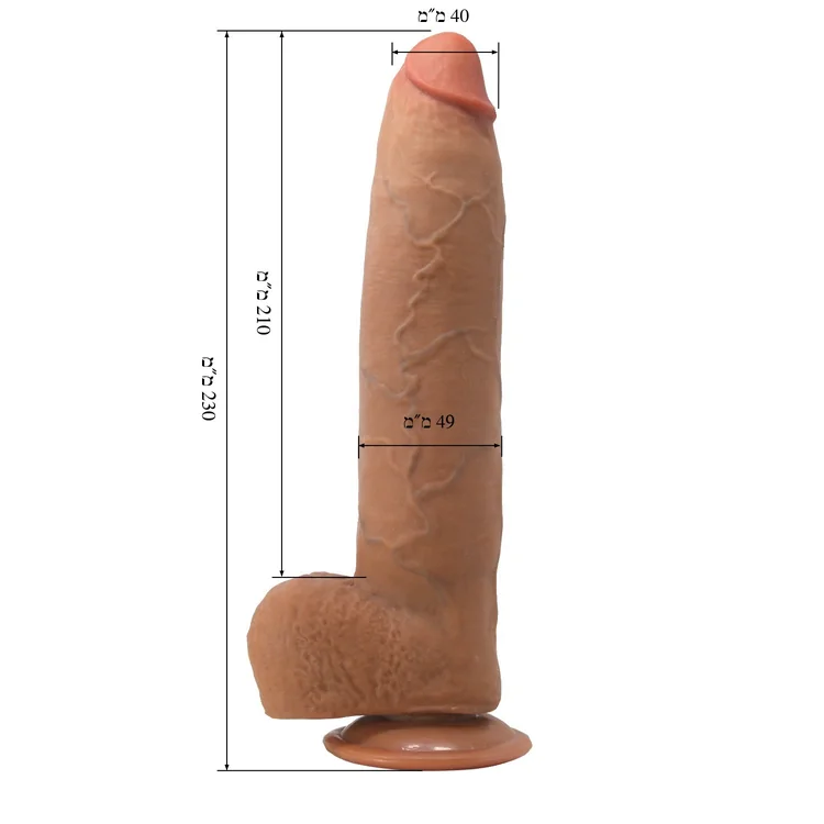 ����� �������� Evander ���� ����� ����� - ��� - 23 ��� - ����� �����