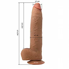 ����� �������� Evander ���� ����� ����� - ��� - 23 ��� - ����� �����