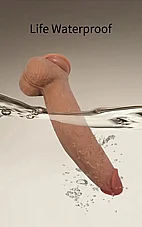 ����� �������� Evander ���� ����� ����� - ��� - 23 ��� - ���� ����