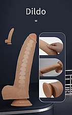 ����� �������� Fabian �� ��� ����� ����� ����� - ��� ���� - 23 ��� - ���� ��������