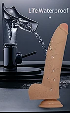 ����� �������� Fabian �� ��� ����� ����� ����� - ��� ���� - 23 ��� - ���� ����