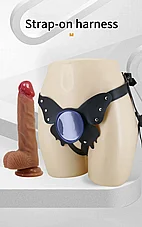 ���� ������� Wells - ���� ���� �� ���� ����� ������ ������� �������� 15 ��� - ���� �������
