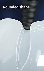 ���� ����� ���� ����� �� ���� ��� - 10 ���� ��� - 11 ��� - ���� ������