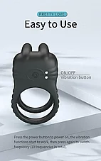 ���� ��� ����� ����� Sini �� ����� ���� - 10 ���� ��� - ����� ������ - ��� ������