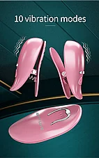 ����� ������ ������ Cayley �� ��� ���� - 10 ���� ��� - ����� ������ - 10 ���� ���