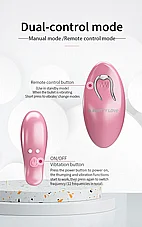 ����� ������ ������ Cayley �� ��� ���� - 10 ���� ��� - ����� ������ - ����� ����� �� �����
