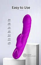 ������� ���� Monica �� ��� ������ ������ - 10 ���� ��� - ����� ������ - ���� - ����� �����