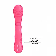 ������� ��-���� Verity ���� �� 2 ������ - 12 ���� ��� - ����� ������ - ���� - ������ ������