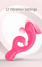 ������� ��-���� Verity ���� �� 2 ������ - 12 ���� ��� - ����� ������ - ���� - 12 ���� ���
