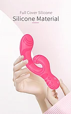 ������� ��-���� Verity ���� �� 2 ������ - 12 ���� ��� - ����� ������ - ���� - ������� ��