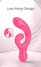 ������� ��-���� Verity ���� �� 2 ������ - 12 ���� ��� - ����� ������ - ���� - ���
