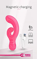 ������� ��-���� Verity ���� �� 2 ������ - 12 ���� ��� - ����� ������ - ���� - ����� ������