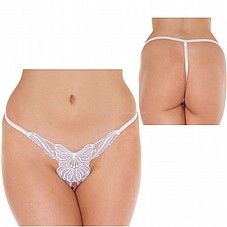 ����� ���� ����� ���� ��� �� ���. R-1279