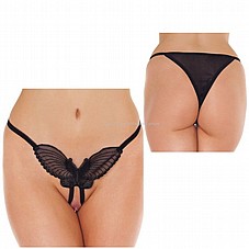 ����� ����� ���� ���� R-1352