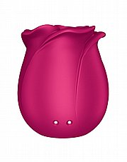 ��� ���� ������� ����, ���� ��������. SATISFYER-65854 Pro 2 Modern Blossom 