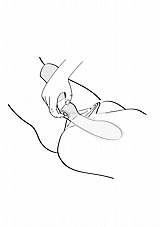 ���� ����� �������, ������� ���� ������. Shunga-69205