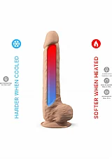 ������� ����� ��� 1 - 10 ����, �������� ����-��������. Silex-D-20970