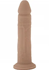 ����� ������� 8 ���� ��� ����� - ����� ��. Silex-D-29731