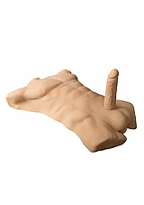 ����� ������� �������� ���� - ����� ��. Silex-D-29735