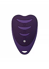 ����� �������� ����-�������� ���� �� ��� 8.5 ����. Silex-D-5477