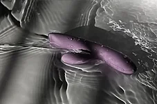 ������� ���� - ������� ���� ������� ����������� �� �� ����� ������ ��. Svakom-03579
