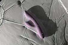 ������� ���� - ������� ���� ������� ����������� �� �� ����� ������ ��. Svakom-03579