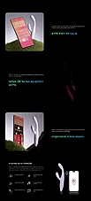 ���� +2 - ������� ���� �� ����� ����� ��������� Svakom-04033