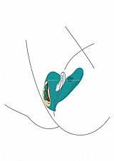���� ����� ������� ����, ���� �����. 3 � 1.  Xocoon-11104 