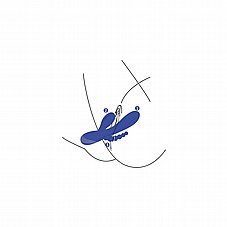 ���� ������ ������� ���� ����� ��� �� �����.  Xocoon-11124