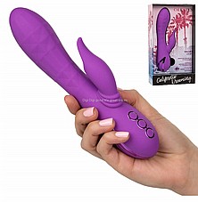 ����� ������� ������ ��� ������ ������ . Valley Vamp . digi-94063